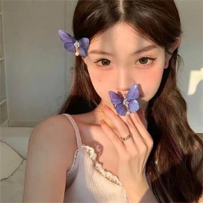 躲在阁楼的安妮·法兰克